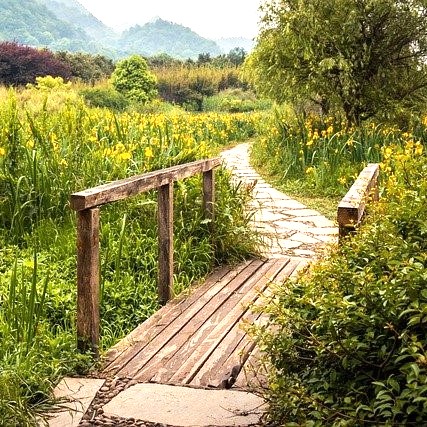 psychothérapie désir et manque, travail sur l’insatisfaction et le sens